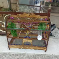 انواع سهره قناری و قفس سلطنتی پرنده های خاص