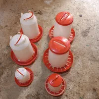 دانخوری ابخوری