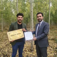 عرضه مستقیم نهال صنوبر از نهالستان|خدمات باغبانی و درختکاری|فسا, |دیوار