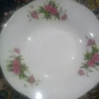 چنددس پلوخوری خورشت خوری دیس برنج به فروش میرسد