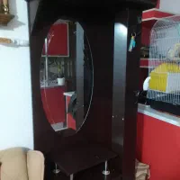 جا کفشی