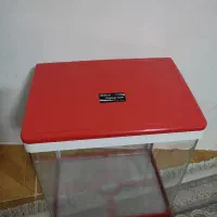 آکواریوم سالم و زیبا|ماهی|گرگان, |دیوار