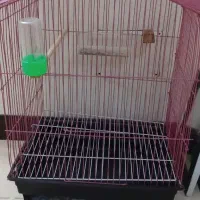 قفس پرنده