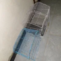 قفس معاوضه با یه جفت کفتر