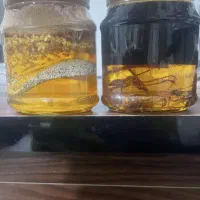 ترک اعتیاد در یک هفته