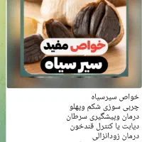سیر سیاه