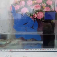 ماهی ،اکواریوم وتسفیه پمپ هوا ویک بسته غذا
