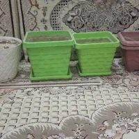 کلدان پلاستیکی