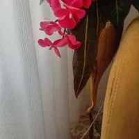 گل پایه دار نو هستش|گل مصنوعی|تربت‌حیدریه, رضاشهر|دیوار