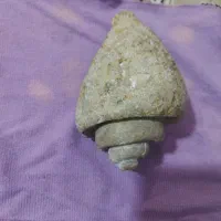 فسیل سنگ حلزون خیلی زیبا وبزرگ