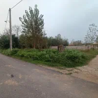 زمین 250 متری کاملا مسکونی|فروش زمین و ملک کلنگی|طاهرگوراب, |دیوار