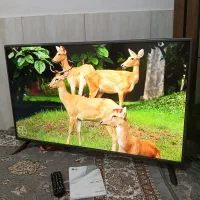 تلوزیون الیدی ۴۳ ال‌جی اصل کره در حد نو