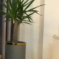 گلدان و پایه