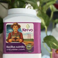 آفت کش مخصوص شانک (جت)