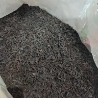 چای بهاره