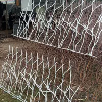 پخش شاخ گوزنی همراه با نصب|مصالح و تجهیزات ساختمان|آمل, |دیوار