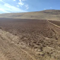 زمین کشاورزی