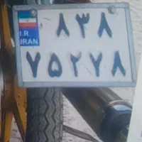 گم شده