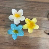 کلیپس گل(پرفروش ترین امسال)