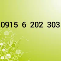 0915-6-202-403