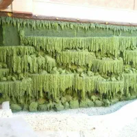 اجرای سیمان بری و رنگ آمیزی