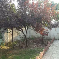 مشاورفتحی|فروش خانه و ویلا|کوچصفهان, |دیوار