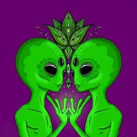 راهنمایی و مشاوره