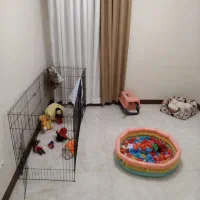 پانسیون خانگی سگ با قیمت ویژه
