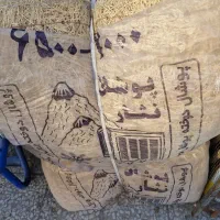 پوشال