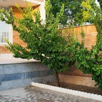 ویلا نوساز مختص اولین رزرو ها *حیاط*باغچه