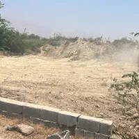 زمین