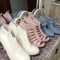 کفش مجلسی|کیف، کفش، کمربند|مشهد, کوی المهدی|دیوار