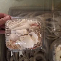 پک 19 مدل صدف و یک مدل ستاره زیبا و خوشرنگ اقتصادی|صنایع دستی و سایر لوازم تزئینی|تهران, تهرانپارس جنوبی|دیوار