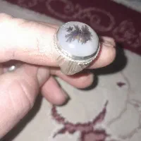 شجر|جواهرات|تربت‌حیدریه, باغ ملی|دیوار