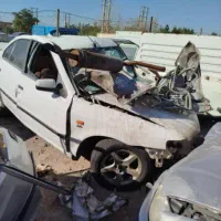 سمند تصادفی مدل ۸۸
