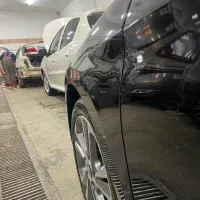 نقاش ماهر
