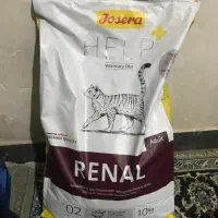 غذای خشک گربه