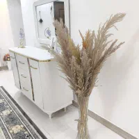 گل پامپاس