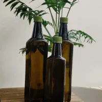 روغن زیتون طارم خالص فرابکر خرید از باغدار