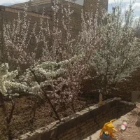 منزل فروشی.روستای ییلاقی خودسفلی|فروش خانه و ویلا|خرانق, |دیوار