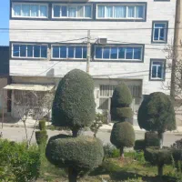 اجاره یا شراکت