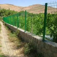 فنس کشی سیم خاردار نرده، شاخ گوزنی فنس الکتریکی|خدمات باغبانی و درختکاری|ارومیه, |دیوار