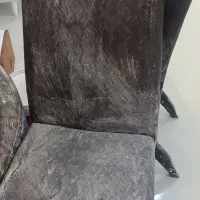 صندلیی|میز و صندلی غذاخوری|برازجان, |دیوار