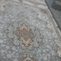 فرش بسیار شیک نو نو|فرش|اهواز, کمپلو جنوبی|دیوار