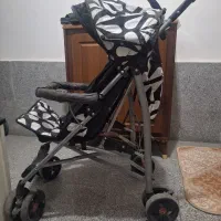 کالسکه عصایی