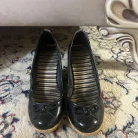 کفش کتونی و مجلسی|کیف، کفش، کمربند|گنبد کاووس, |دیوار