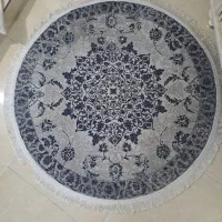 ی جفت پادری یک در یک