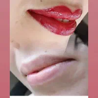 شیدلب فقط ۸۰۰ تومن|خدمات آرایشگری و زیبایی|رشت, کاکتوس|دیوار