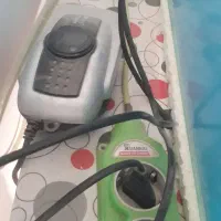 ماهی وآکواریوم|ماهی|ایلام, |دیوار