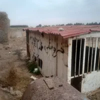 کانکس|مصالح و تجهیزات ساختمان|سبزوار, شرق کال عیدگاه|دیوار